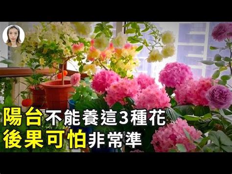 陽台不能種的花